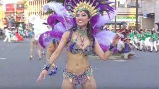 日本の夏祭り 彡 昼も夜もサンバのパレードで盛り上がる Japan Samba Carnival サンバカーニバル