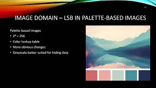 An Overview of Image Steganography