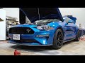 Boost Your Ford Mustang GT : Ultimate Nitrous Plate Kit Installation Guide