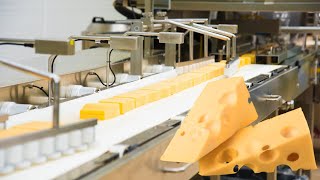 INDUSTRIAL CHEESE PROCESSING - FOOD INDUSTRY