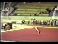 WTF Arabian Triple Front on FX - 1988 JR European Team Championships