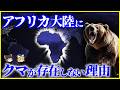 【ゆっくり解説】アフリカに存在しないはずの熊を目撃…⁉️なぜ「クマ」がいない大陸があるのか？を解説/今なおたくましく進化中のクマの生態