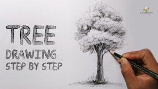How To Draw a Tree | Easy Step By Step | Pencil Drawing Shading | Tree with Leaves