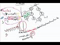 LeetCode144 - Binary Tree Preorder Traversal (Iterative solution) | JAVA
