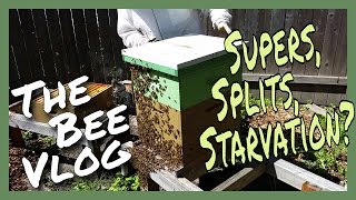 Supers, Splits, & Starvation - Bee Vlog #171 - May 9, 2016