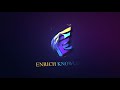 Enrich Knowledge Logo Intro by Brand Quube