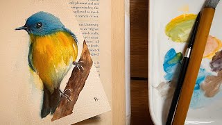 How To Paint A Colorful Bird By Wet On Wet Method Of Watercolor | A Watercolor Demonstration |