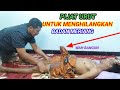 pijat urut untuk menghilangkan badan meriang