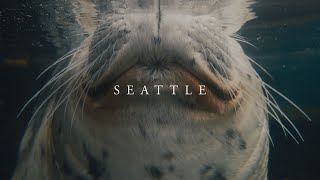 Travel Photography at Home in Seattle // Fuji X-T5