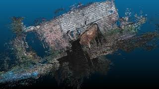 COW point cloud animation
