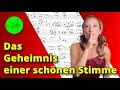 Das Geheimnis 🤫 einer schönen Stimme -🎶 einfach singen lernen 🎹