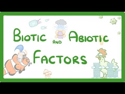 What are four abiotic factors in a prairie ecosystem?