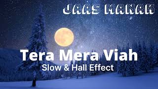 Tera Mera Viah : Jass Manak | KV Dhillon Marriage | Davy Wedding Video
