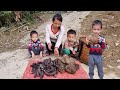 Single mother: Harvesting shampoo fuil berries and wild cassava to sell | Suyen single mom life