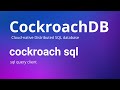 CockroachDB - How to Use Cockroach SQL