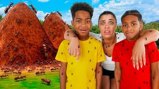 WE GOT ATTACKED BY FIRE ANTS!