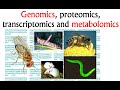 Genomics and proteomics, transcriptomics and metabolomics