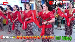 TAYUB MANUNGGAL LARAS || LARANG UDAN ||  LASTRI CILIK || BAP AUDIO || AMARTA LIVE SENTUL