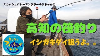 【そこスガ２】高知の海で遊ぼう！第１１回「須崎市でイシガキダイに初挑戦！！」