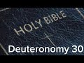 Deuteronomy 30 (NIV) The Audio Bible