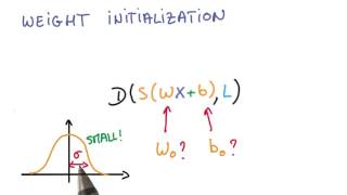 Normalized Inputs and Initial Weights