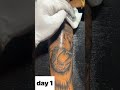 tattoo healing process day 1 to day 7        #shorts #youtubeshorts #viral #viralshort #views #like