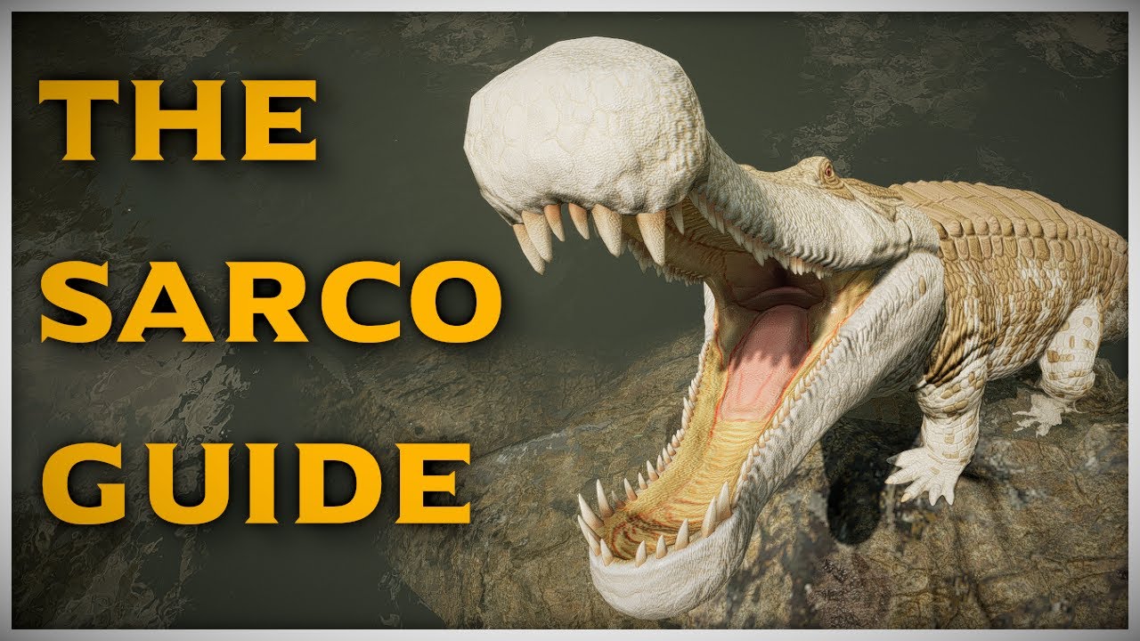 How To Sarco Sarco Basics Guide Part 1 Path Of Titans Youtube