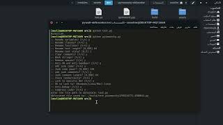 PyImmunity: an advanced Python obfuscator
