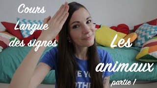 Cours Langue des Signes les Animaux partie 1