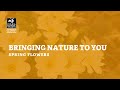 Bringing nature to you - spring flowers