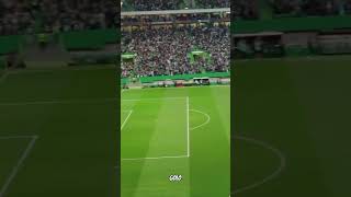 Reação ao segundo golo do Sporting CP 1-1 Juventus