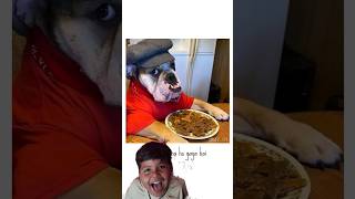 Mota kitna ho gya | 😅 #dog #funnyvideo #comedy🤣 #viral #shortvideo 🥰