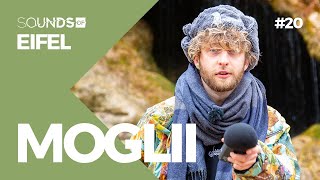 Beats aus dem Wald | Moglii: Über Klimaschutz & Alltagsflucht | Sounds of „Eifel