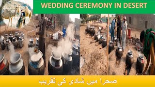 TRADITIONAL WEDDING CEREMONY IN CHOLISTAN DESERT | COOKING FOOD FOR 1200 PEOPLES | PUNJAB | PAKISTAN