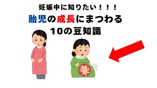 【まだ間に合う】妊娠中に知りたい！妊娠中の胎児にまつわる豆知識10選