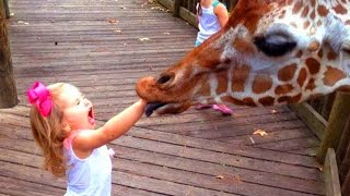 Funny Babies At The Zoo | TRY NOT TO LAUGH 2021 | LAUGH TRAPPED