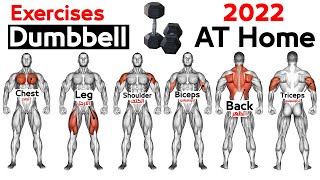 Full Body HOME Dumbbell  WORKOUT (squats, chest ,triceps, biceps , back, shoulder, wrist, Calves  )