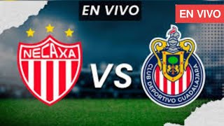Chivas Vs Necaxa en vivo hoy / Liga MX 2024 match today Live