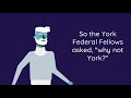 Where did Give Local York come from?