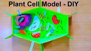 plant cell model 3d for school science fair exhibition project | CraftPiller | still model
