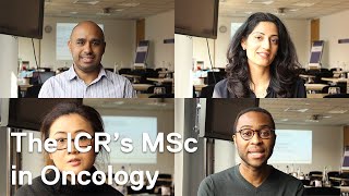 Study for an MSc in Oncology at The Institute of Cancer Research