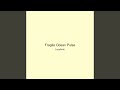 Fragile Ocean Pulse