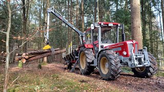 Holz aus'm Wald holen und sägen