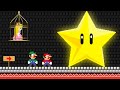Mario And Luigi Co-op Use Giant Super Star Rescue Princess In New Super Mario Bros.?