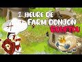 BILAN 1 HEURE DE FARM EN TEAM SADI ! 