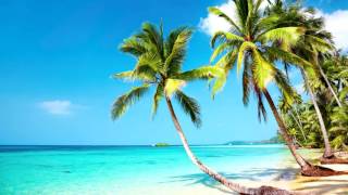 Beach Party Music | Tropical Mexican Beach | Relax, Work, Study & Ambience