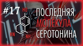 Красота требует кэш, большой обзор передачи | ПМС #17