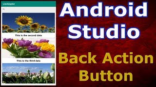 Android Studio Adding Back Action Button In Activity