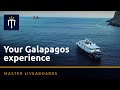 Your Galapagos experience with Master Liveaboards