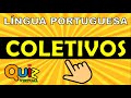 QUIZ DE COLETIVOS | QUIZ DE LÍNGUA PORTUGUESA